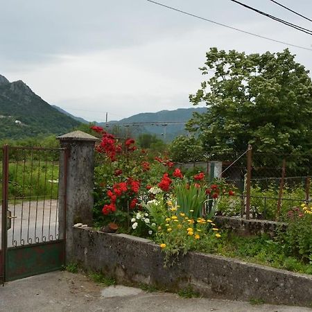 B&B Ana Virpazar Εξωτερικό φωτογραφία